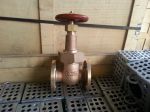 JIS Marine Gate Valve