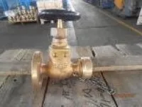Marine Bronze Globe Hose Valve JIS F7334 5K (DN15-DN25) 1