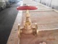 Marine Bronze Screw Down Check Globe Valve JIS F7351 5K