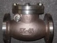 Marine Bronze Swing Check Valve JIS F7371 5K(DN50-DN100) 1