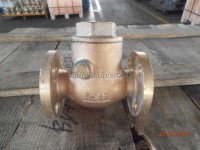 Marine Bronze Swing Check Valve JIS F7371 5K (DN15-DN40)