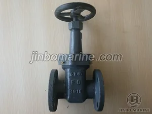 Marine Cast Iron Gate Valve (DN15-DN40) thumbnail 1