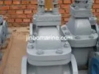 Marine Cast Iron Gate Valve JIS F7364 10K 1