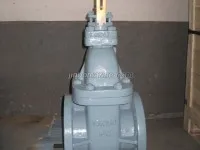 Marine Cast Iron Gate Valve JIS F7369 16K 1