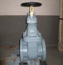 Marine Cast Iron Gate Valve JIS F7369 16K thumbnail 1