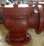 Marine Cast Iron Lift Check Angle Valve JIS F7359 5K