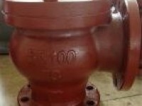Marine Cast Iron Lift Check Angle Valve JIS F7359 5K