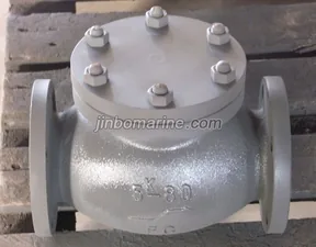 Marine Cast Iron Lift Check Globe Valve JIS F7358 5K thumbnail 1