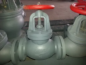 Marine Cast Iron Screw Down Check Globe Valve JIS F7353 5K thumbnail 1