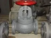 Marine Cast Iron Screw Down Check Globe Valve JIS F7377 16K 1