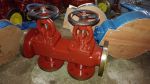 Marine Cast Iron Single Arrangement Suction Stop Check Box Valve GB/T1855-93