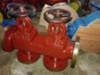 Marine Cast Iron Single Arrangement Suction Stop Check Box Valve GB/T1855-93