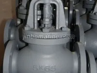 Marine Cast Steel Globe Valve JIS F7311 5K 1