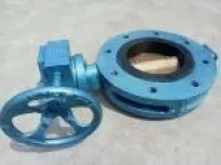 Marine Center Pivoted Double Flanged Butterfly Valve with Worm Gear 1
