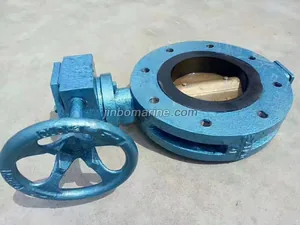 Marine Center Pivoted Double Flanged Butterfly Valve with Worm Gear thumbnail 1