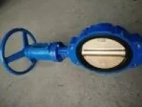 Marine Center Pivoted Helix Manual Wafer Butterfly Valve 1