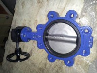 Marine Center-Pivoted Worm Manual Lug Butterfly Valve