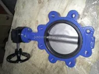 Marine Center-Pivoted Worm Manual Lug Butterfly Valve 1