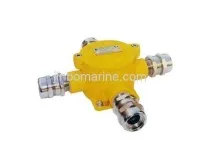 Marine Explosion Proof Switch 2