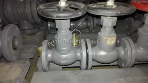 Marine Nodular Iron Globe Valve JIS F7321 5K thumbnail 1