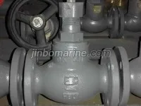 Marine Nodular Iron SDNR Valve JIS F7321C 1