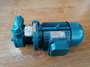 Marine Single-stage Whirlpool pump 1WTD2.4-10.5 thumbnail 1