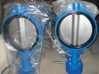 Marine Wafer Butterfly Valve with Worm Gear JIS F7480 2