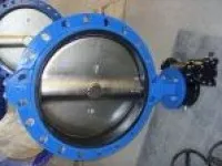 Mono Flanged Butterfly Valve 1