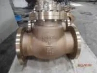 API Bronze Swing Check Valve 1