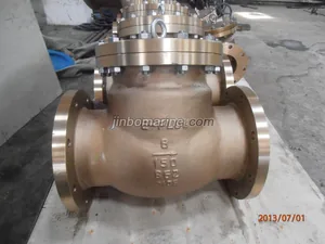 API Bronze Swing Check Valve thumbnail 1