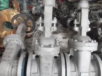 API WCB Gate Valve 1