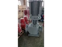 PVHB300-25ACM 750m3 per Hour Marine Vertical Centrifugal Ballast Water Pump 2