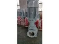 PVHB300-25ACM 750m3 per Hour Marine Vertical Centrifugal Ballast Water Pump 1
