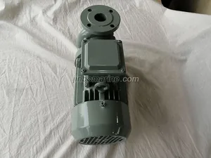 PWF Series Marine Crushing Pump thumbnail 4