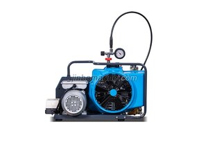 CW-6/300F Portable micro high-pressure Diving Air Compressor