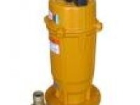 QDX/QX Stainless Steel Submersible SewagePump