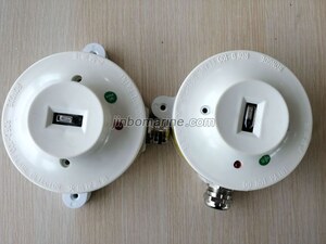 RDFD-100 Point Type Ultraviolet Flame Detector