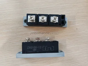 Rotating rectifier pair of arms module ZXQ100-12 thumbnail 2