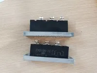 Rotating rectifier pair of arms module ZXQ100-12 3