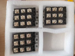 Rotating rectifier pair of arms module ZXQ100-12 thumbnail 4