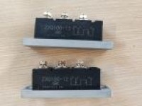 Rotating rectifier pair of arms module ZXQ100-12
