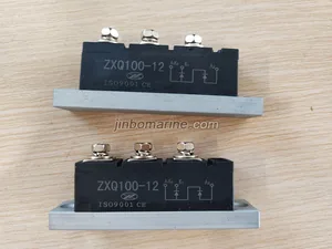 Rotating rectifier pair of arms module ZXQ100-12 thumbnail 1