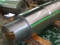 Rudder Pintle