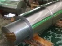 Rudder Pintle 1