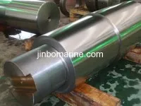 Rudder Pintle 2