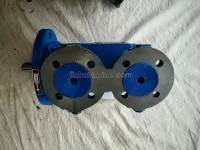 Screw Pump SPF20R56G10W21 2