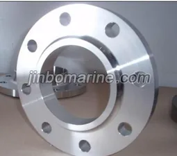 Slip On Flange thumbnail 1