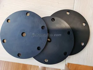 Spare Membrane for Marine Air Pressure Reducing Valve thumbnail 1