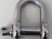 Stainless Steel D Type Shackle