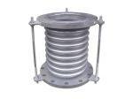 Stainless Steel Marine Bellows Expansion Joint CB*613-81